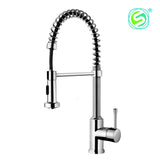 Suneli N88503-B2 Coil Pull-Down Kitchen Faucet